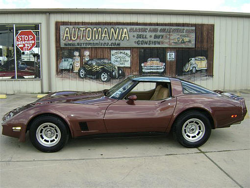 1981 CHEVROLET CORVETTE New Braunfels TX 78132 Photo #0014638A