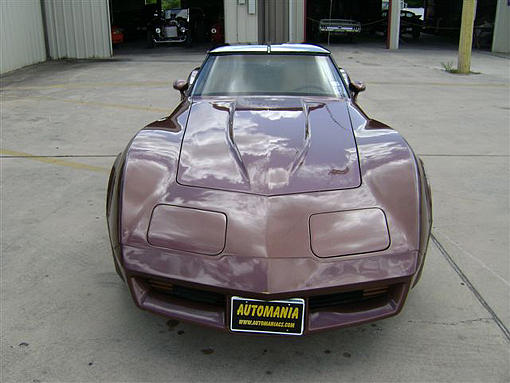 1981 CHEVROLET CORVETTE New Braunfels TX 78132 Photo #0014638A