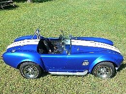 1965 FACTORY FIVE RACING COBRA Orlando FL 32833 Photo #0015092A