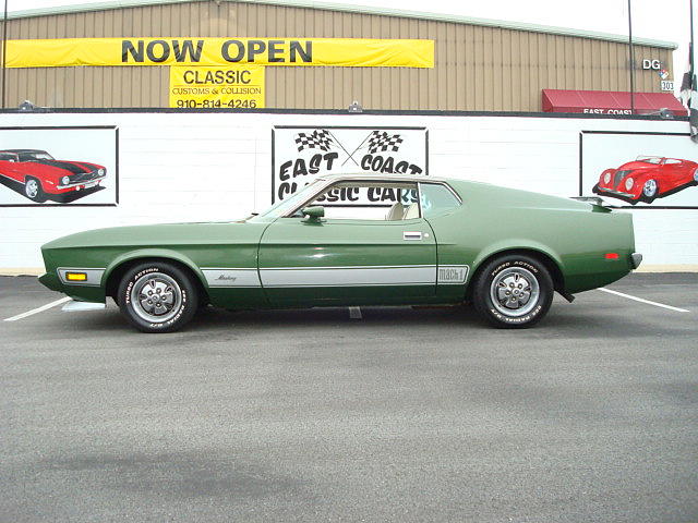 1973 FORD MUSTANG MACH1 Lillington NC 27546 Photo #0015103A