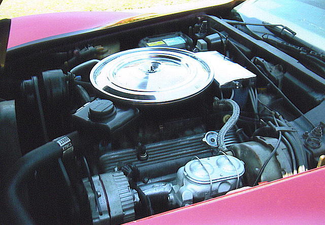 1977 CHEVROLET CORVETTE N Ft Myers FL 33917 Photo #0015578A