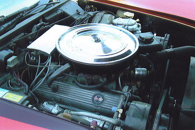 1977 CHEVROLET CORVETTE N Ft Myers FL 33917 Photo #0015578A