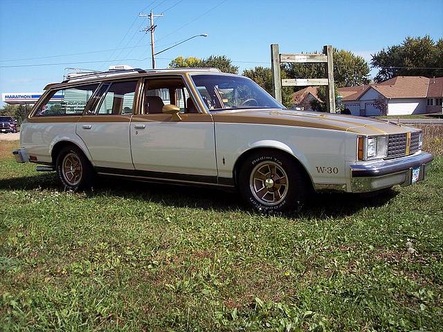 1980 OLDSMOBILE WAGONS Watertown MN 55388 Photo #0016465A