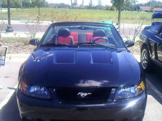 2003 FORD MUSTANG COBRA Palatine IL 60067 Photo #0017380A