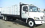Show the detailed information for this 2005 HINO 338.