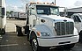 Show the detailed information for this 2008 PETERBILT 335.