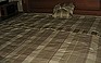 Photo #0028634B