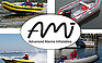 Show the detailed information for this 2009 AMI Inflatables.