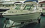 Show the detailed information for this 2009 Bayliner 175.