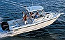 Show the detailed information for this 2009 BOSTON WHALER 235.