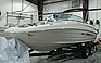 Show the detailed information for this 2009 Sea Ray 210 Sundeck.