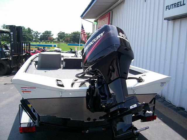 2009 TRITON TS17 Nashville AR 71852 Photo #0043112A