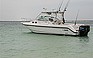 Show the detailed information for this 2001 BOSTON WHALER No Name.