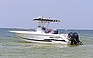 Show more photos and info of this 2001 PRO-LINE 26 SportCC.