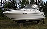 Show the detailed information for this 2002 Sea Ray Sundancer.