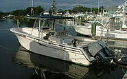 Photo #0045169A