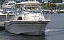 Show more photos and info of this 2007 Grady White 300 Marlin.