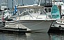 2007 GRADY-WHITE 330 Express.