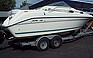 Show the detailed information for this 1995 Sea Ray 250 Sun Dancer.