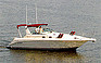 Show the detailed information for this 1995 Sea Ray 300 Sundancer.