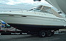 Show the detailed information for this 1995 SEA RAY 300 WEEKENDER.