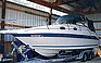 Show the detailed information for this 1995 SEA RAY SUNDANCE.
