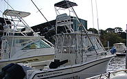 Photo #0049533A