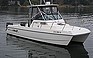 Show the detailed information for this 1996 SEA CAT 250 CUDDY.