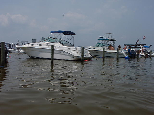 1996 SEA RAY 270 sundancer Panama City FL 32405 Photo #0049607A