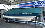 Show the detailed information for this 1996 SEA RAY 240 OVERNIGHTER.