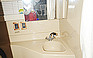 Photo #0050589C