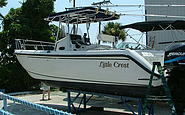 Photo #0051032A