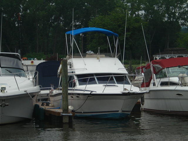 1986 BAYLINER Contessa Stony Point NY 10980 Photo #0051518A