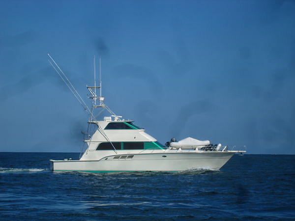 1988 Donzi Sportfish Ft Lauderdale FL 34994 Photo #0051758A