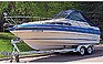 Show the detailed information for this 1988 SEA RAY SEARAY 230 WE.