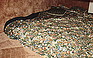 Photo #0051889F