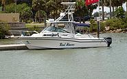 Photo #0052040A