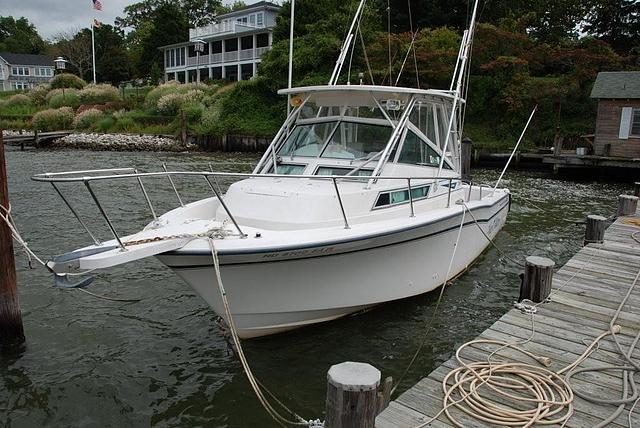 1989 Grady-White Marlin Lusby MD Photo #0052041A