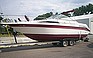 Show the detailed information for this 1989 SEA RAY 250.