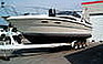 Show the detailed information for this 1989 Sea Ray 300 Sundancer.