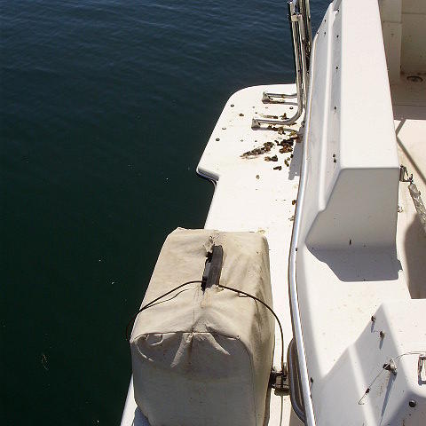 1991 BAYLINER 2556 Command Bridge Page AZ 86040 Photo #0052361A