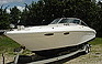 Show the detailed information for this 1991 SEA RAY 310 Sunsport.