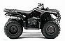 Show the detailed information for this 2009 YAMAHA Grizzly 350 Automatic.
