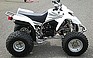 Show the detailed information for this 2006 Yamaha BLASTER.