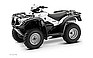 2008 HONDA FourTrax Foreman 4x4 (TRX.