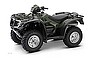 Show more photos and info of this 2008 HONDA FourTrax Foreman Rubicon.