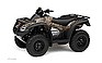 Show the detailed information for this 2008 HONDA FourTrax Rincon GPScape.