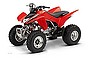 Show the detailed information for this 2008 HONDA TRX250EX.