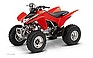Show the detailed information for this 2008 Honda TRX250EX.