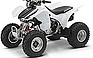 Show the detailed information for this 2008 HONDA TRX300EX.